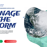 Manage The Storm . com